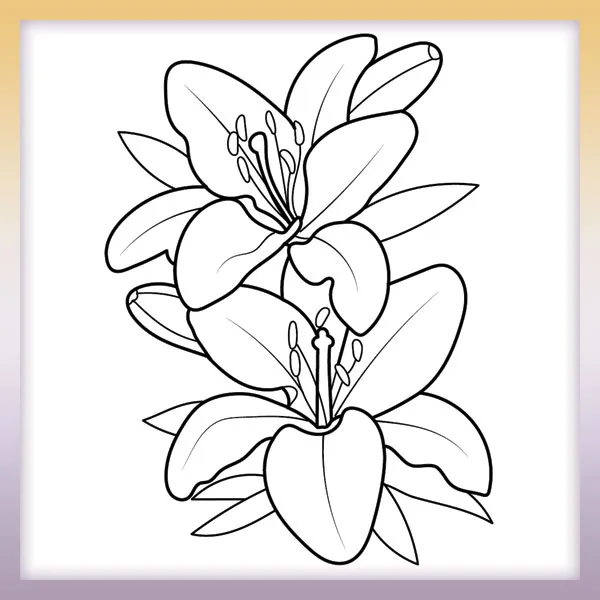 Lilies | Online coloring page