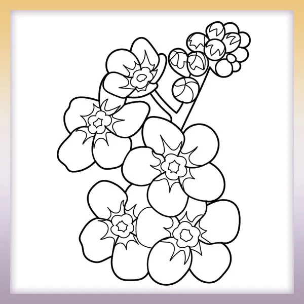 Forget me nots | Online coloring page