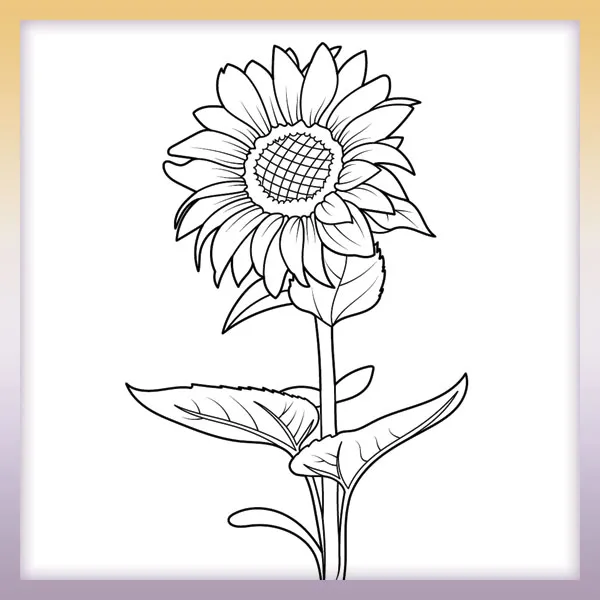 Sunflower | Online coloring page