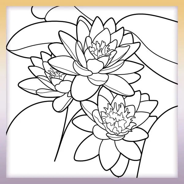Water lily | Online coloring page