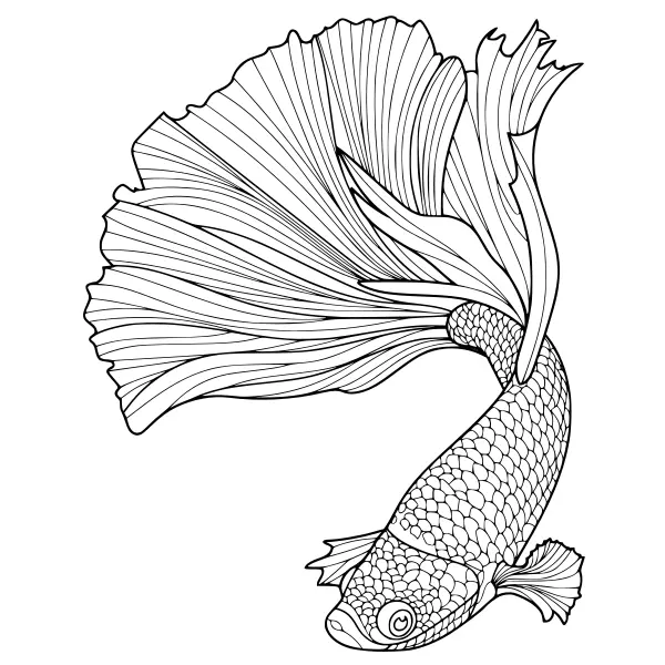 Fish Mandala | Online coloring pages for kids
