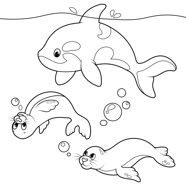 Seals and Orcas | Online coloring pages for kids