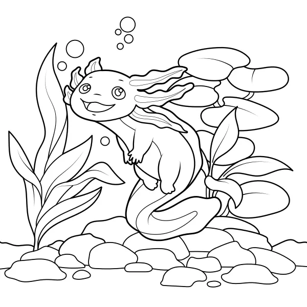 Axolotl | Online coloring pages for kids