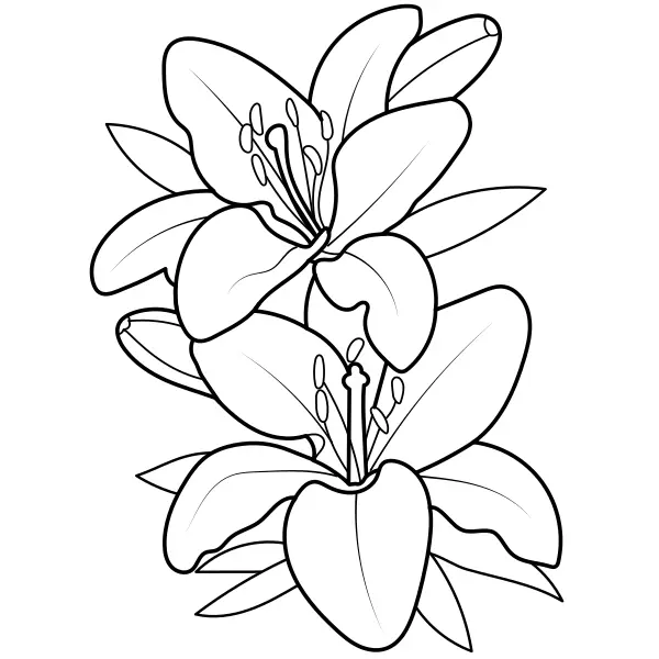 Lilies | Online coloring pages for kids
