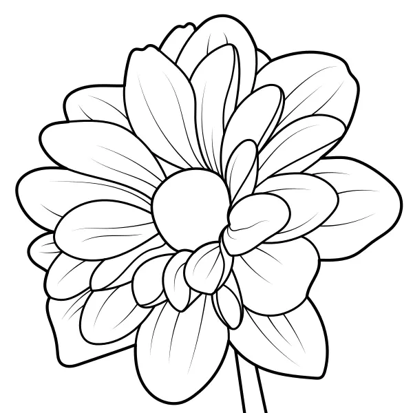 Dahlia | Online coloring pages for kids