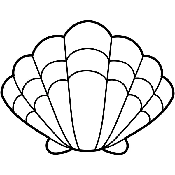 Shell | Online coloring pages for kids