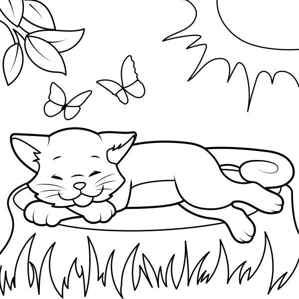 The cat is basking in the sun | Online coloring pages for kids
