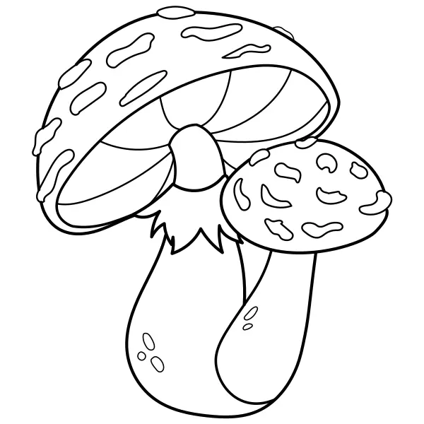 Fly Agaric | Online coloring pages for kids
