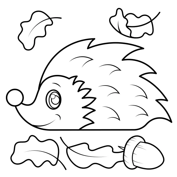 Hedgehog | Online coloring pages for kids