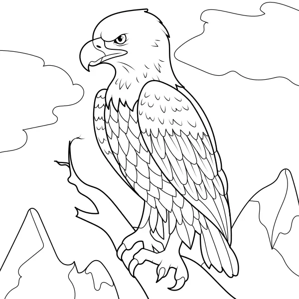 Eagle | Online coloring pages for kids
