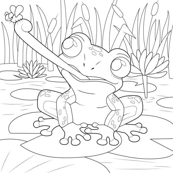 Frog | Online coloring pages for kids
