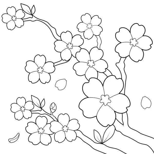 Japanese cherry tree | Online coloring pages for kids