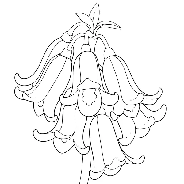 bluebells | Online coloring pages for kids
