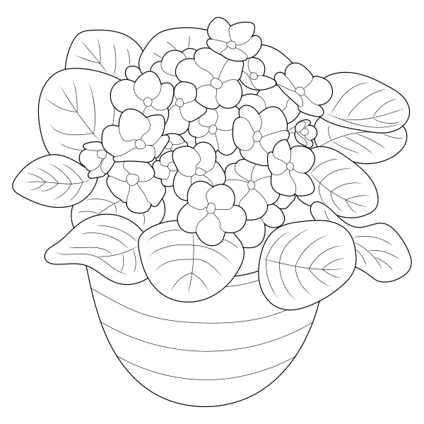 Violets | Online coloring pages for kids