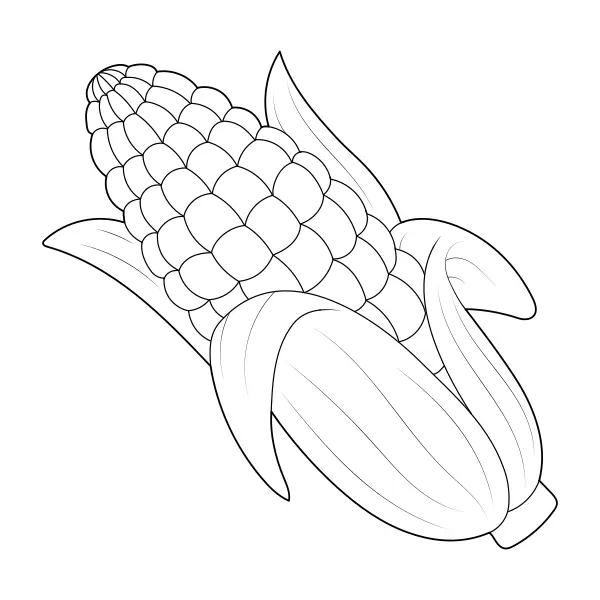 Corn | Online coloring pages for kids