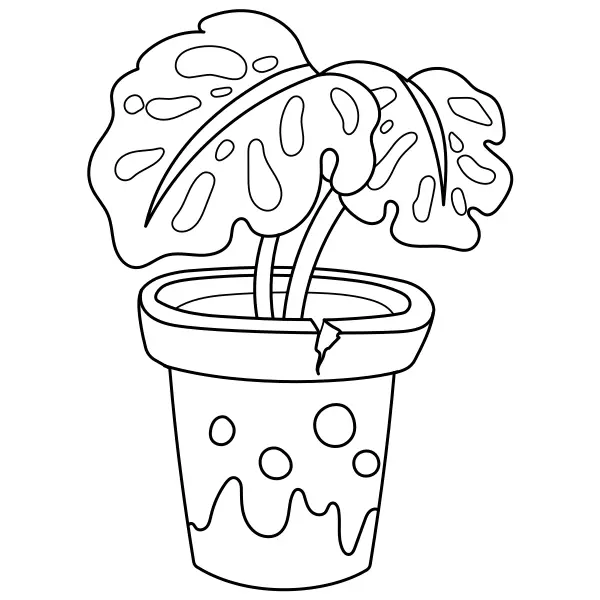 Monstera Plant | Online coloring pages for kids