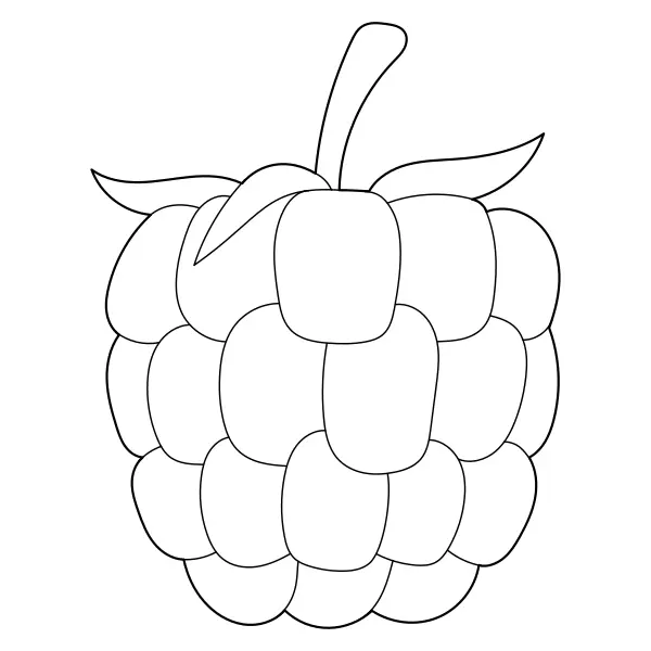 Raspberry | Online coloring pages for kids