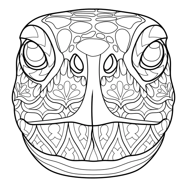Mandala – Turtle | Online coloring pages for kids