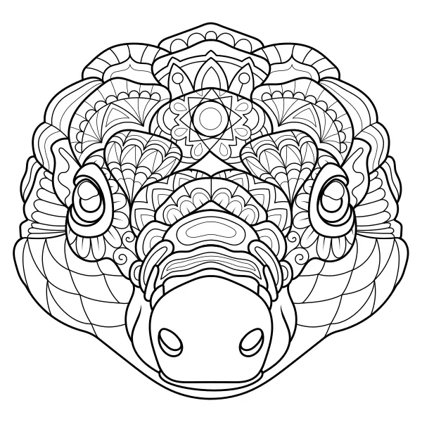 Mandala – Pangolin | Online coloring pages for kids