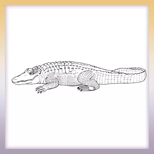 Alligator - Online coloring page