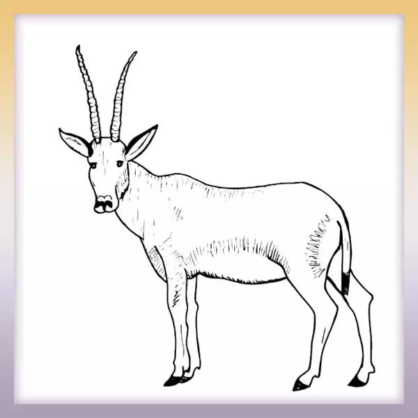 Antelope - Online coloring page