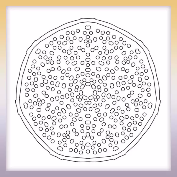 Mandala - circles - Online coloring page