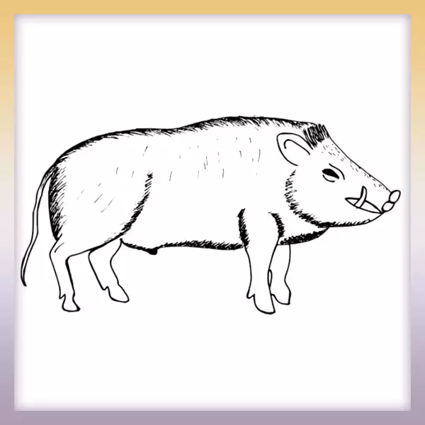 Boar - Online coloring page
