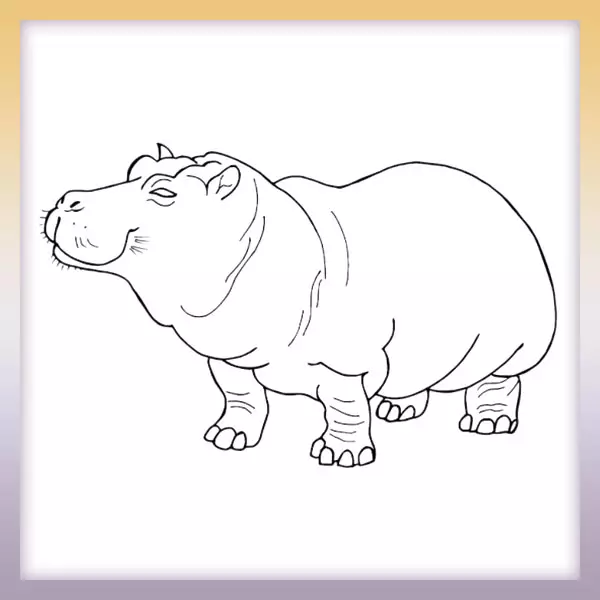 Hippopotamus - Online coloring page