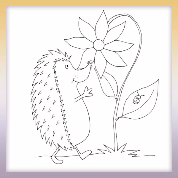 Hedgehog by the flower - Online coloring page