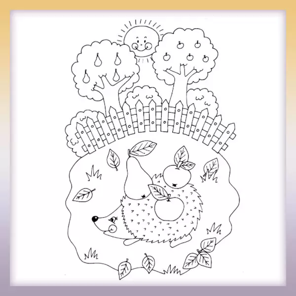 Hedgehog in the garden - Online coloring page
