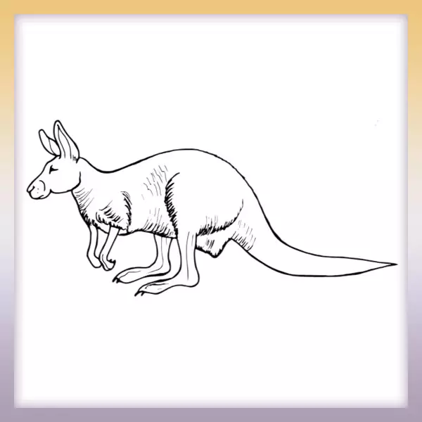 Kangaroo - Online coloring page