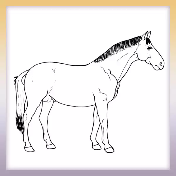 Horse - Online coloring page