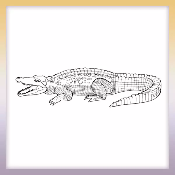 Crocodile - Online coloring page