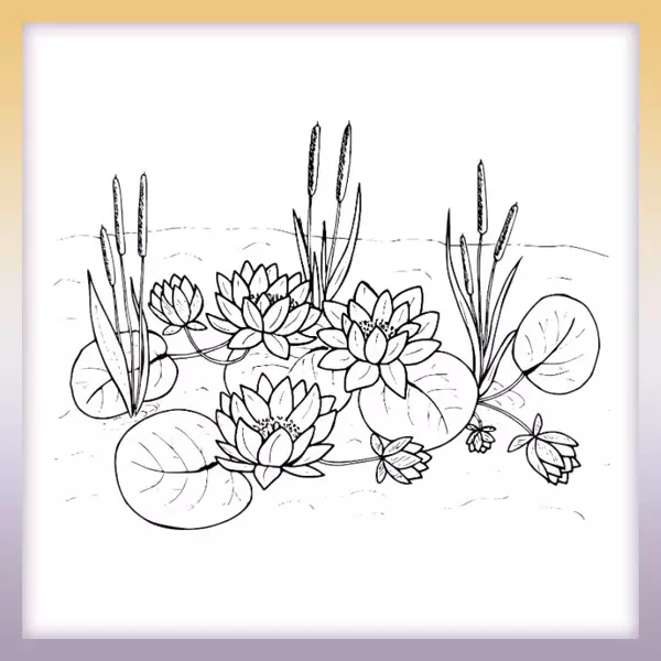 Water lilies in the lake - Online coloring page