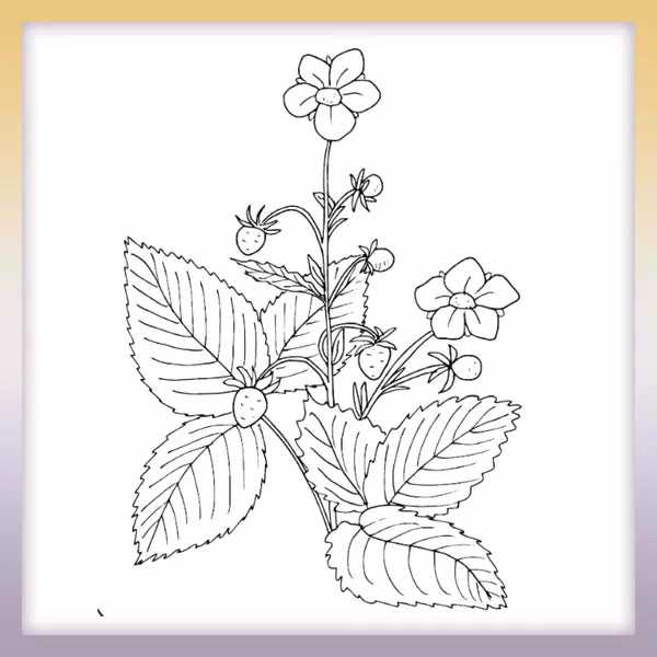 Wild strawberries - Online coloring page