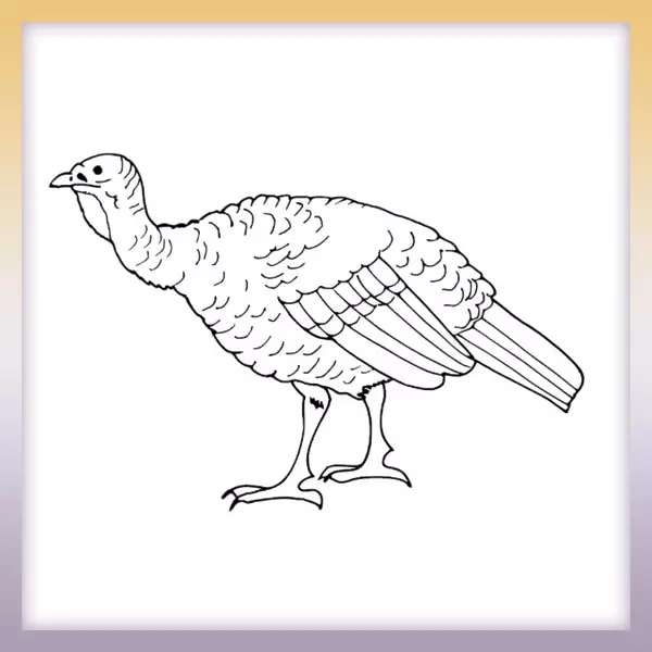 Turkey - Online coloring page