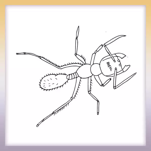 Ant - Online coloring page