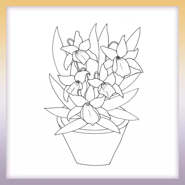Narcissus in a pot - Online coloring page