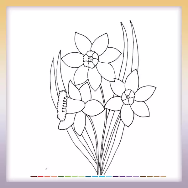 Daffodils - Online coloring page