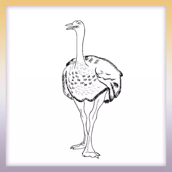 Ostrich - Online coloring page