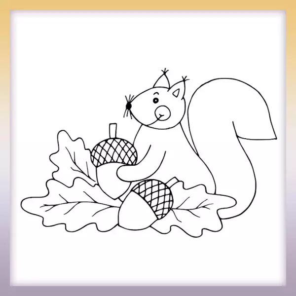 Squirrel with nuts - Online coloring page