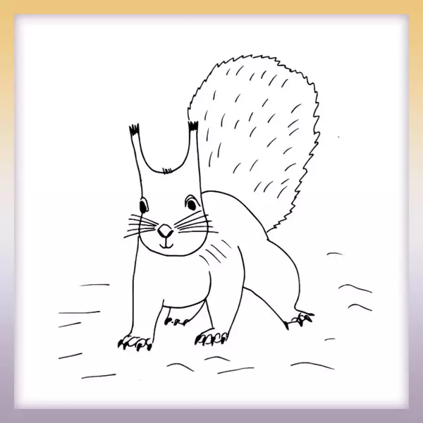 Squirrel - Online coloring page